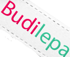 Budi Lepa